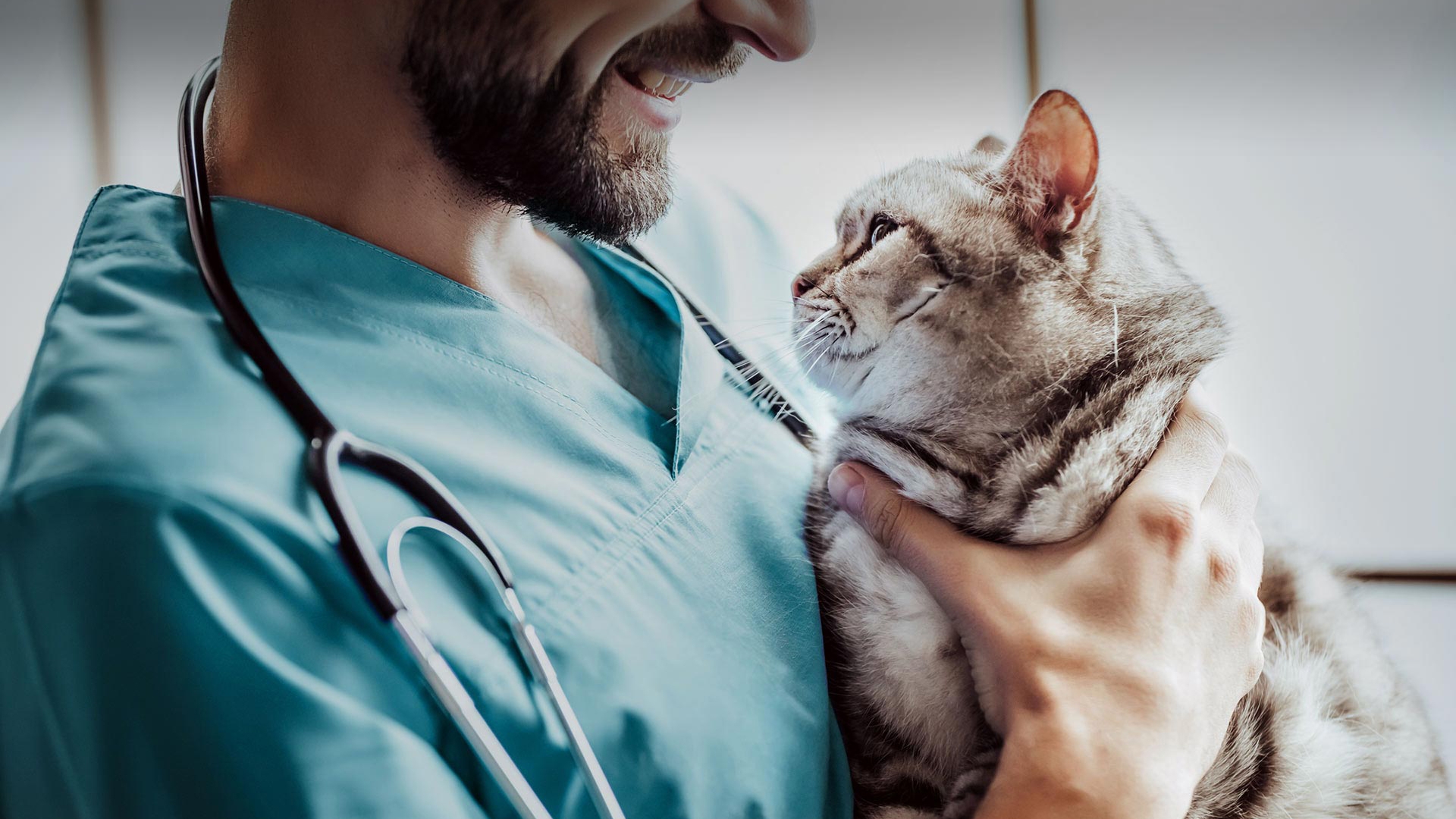 Akıncılar Veteriner